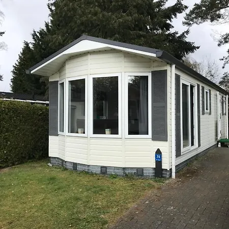Modern Boshuisje Nr 31 Chalet